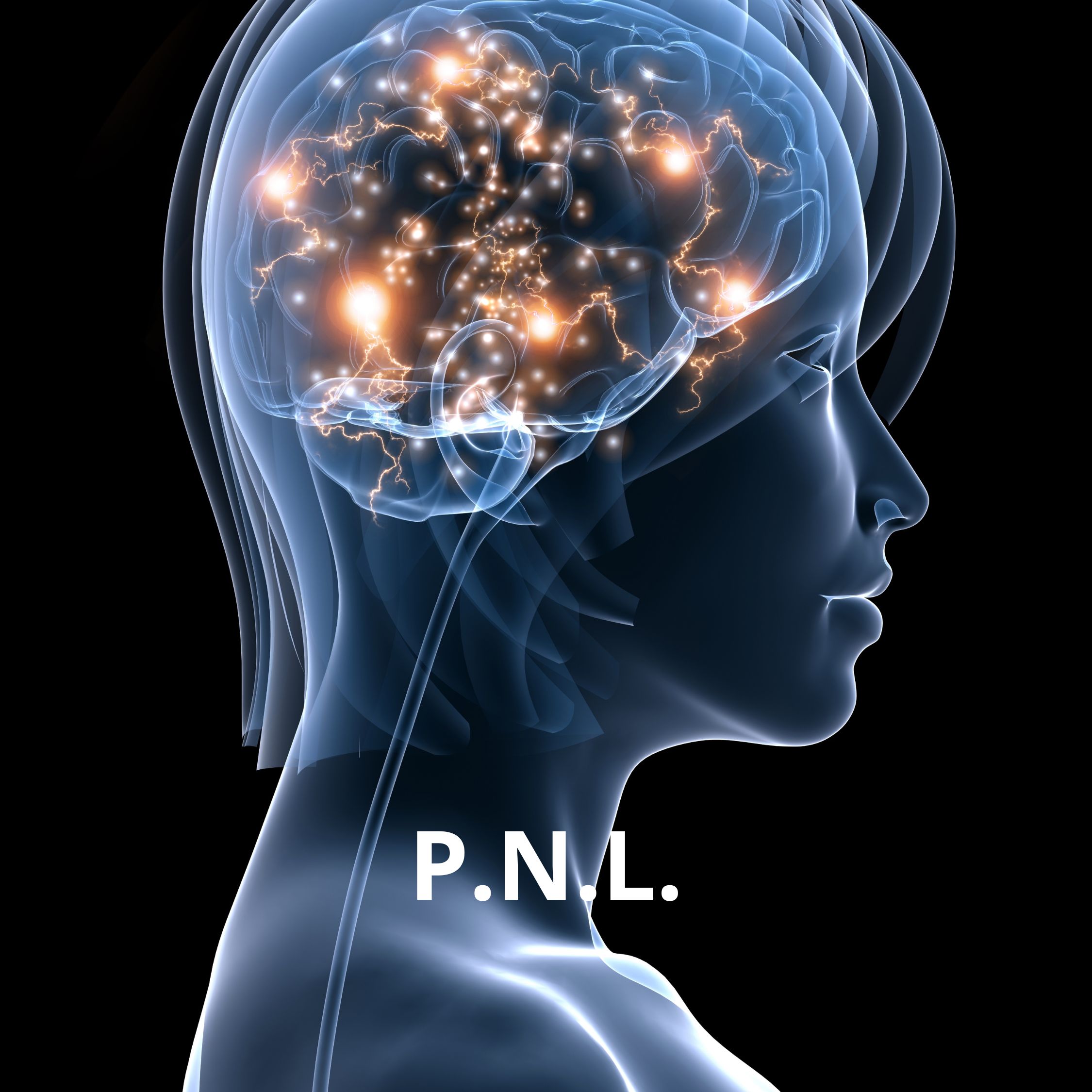 Image de présentation de la page sur le P.N.L.