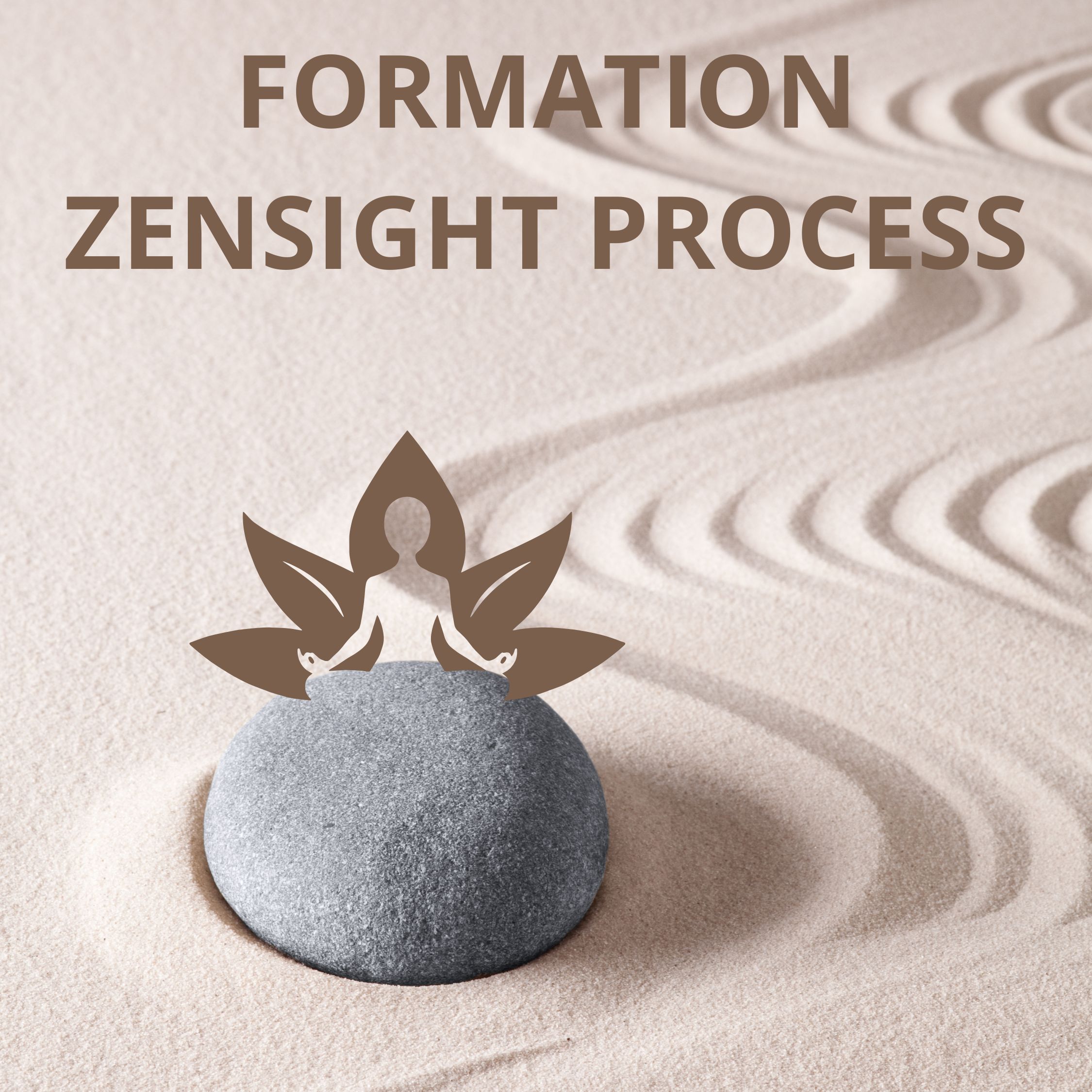 Image présentation des formations au Zensight process