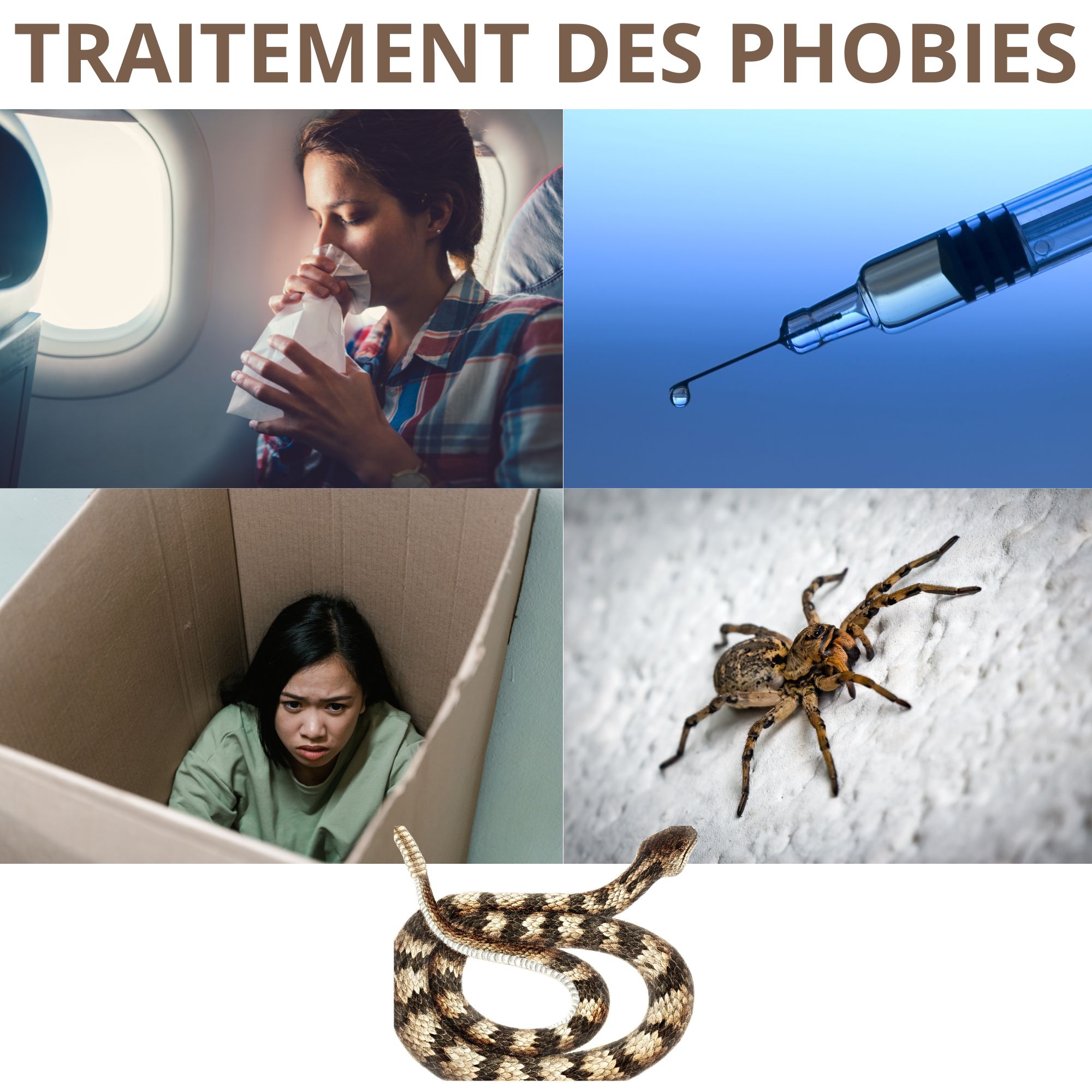 Guérir les Phobies